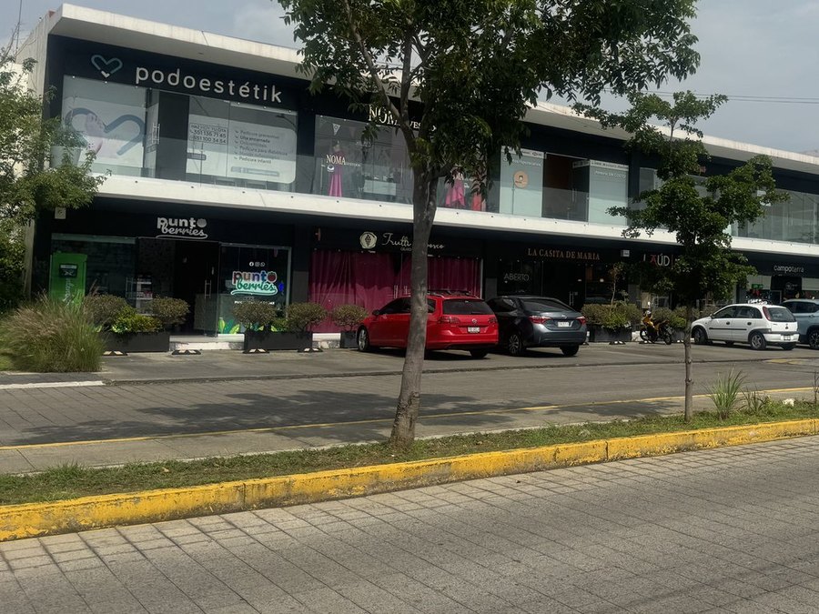 Plaza Ceibas, 2018